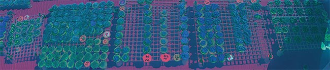 Optical sensors have been shrunk to easily mount onto uncrewed aerial vehicles (UAVs) (top). Hyperspectral imaging sensors can now weigh <5 kg, offering users more options for deployment.  Scanning coral tanks onshore with uncrewed aerial vehicle (UAV)-mounted sensors allows scientists to gather valuable data in their mission to conserve and restore oceanic species along the Florida coast (bottom). Courtesy of Headwall.