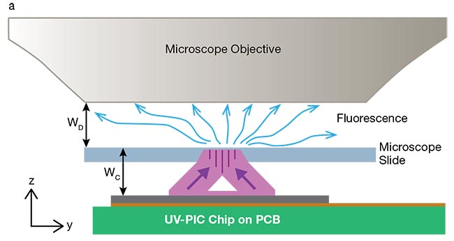 Figure 1. The compact ultraviolet photonic integrated circuit (UV-PIC) enables seamless integration into existing microscopy setups. A zoom-in on a sample area under the microscope with UV excitation light in violet and the fluorescent signal in blue (a). A schematic of the Ghent University-imec chip-based far-field structured illumination microscopy (SIM) setup, including a conventional microscope (b). The PIC mounted on an electric printed circuit board with wire connections (c). Courtesy of imec/Ghent University Photonics Research Group.