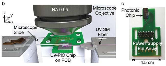 Figure 1. The compact ultraviolet photonic integrated circuit (UV-PIC) enables seamless integration into existing microscopy setups. A zoom-in on a sample area under the microscope with UV excitation light in violet and the fluorescent signal in blue (a). A schematic of the Ghent University-imec chip-based far-field structured illumination microscopy (SIM) setup, including a conventional microscope (b). The PIC mounted on an electric printed circuit board with wire connections (c). Courtesy of imec/Ghent University Photonics Research Group.