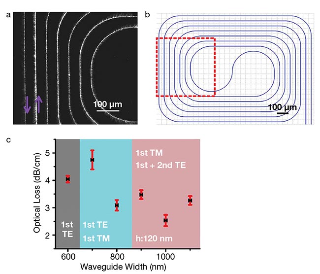 Figure 2. With 800-nm-wide waveguides fully etched in 120-nm-thick layers of aluminum oxide (AlOx), the researchers achieved scattering losses of only 3 dB/cm at 360 nm. A microscopy image of the light scattering from a waveguide (? = 360 nm) (a). The layout design of the waveguide corresponding to (a) (b). The relationship between the propagation losses and the width of the AlOx waveguide; the different shaded areas correspond to an increasing number of possible guided modes (c). Courtesy of imec/Ghent University Photonics Research Group.