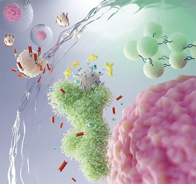 Nanoprobes equipped with Raman reporters illuminate intricate biological structures, pushing the boundaries of Raman spectroscopy. Courtesy of Arnab Chatterjee/Barman Laboratory at Johns Hopkins University.