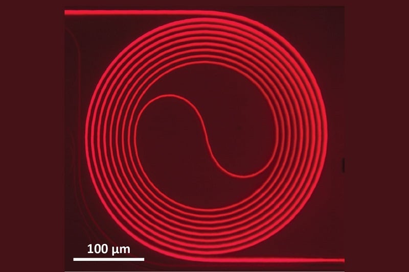 A Ti:sapphire waveguide amplifier created by the researchers that fits in a 0.5mm square. Courtesy of Yang et al., Nature.