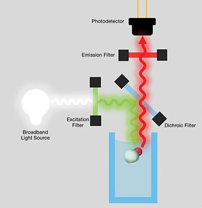 Figure 3. A fluorescence measurement configuration incorporating a dichroic filter. Such a setup enables a user to perform reflective measurement. Courtesy of Delta Optical Thin Film.