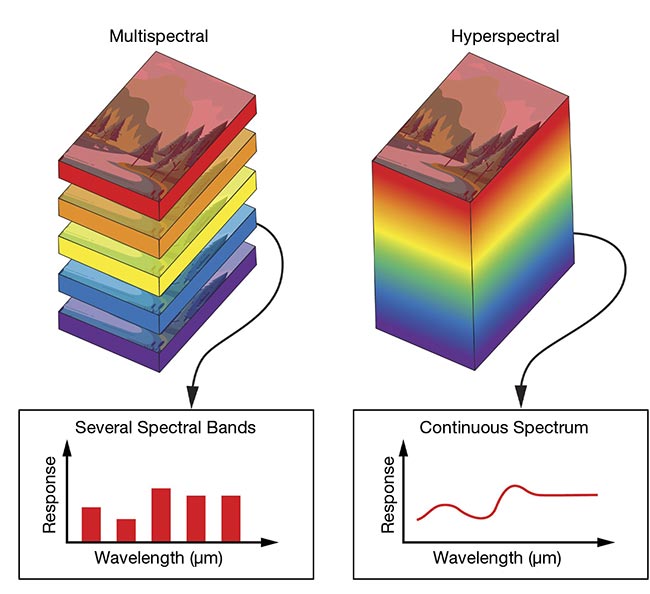 Figure 4. The difference between multispectral and hyperspectral imaging is whether wavelength information is represented discretely or continuously, respectively. Courtesy of Edmund Optics.