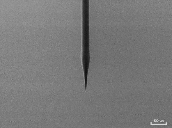 Researchers developed tapered polymer optical fibers that are optimized for delivering light to the brain. A scanning electron microscopy image of one of the tapers is shown here. Courtesy of Marcello Meneghetti, Technical University of Denmark.