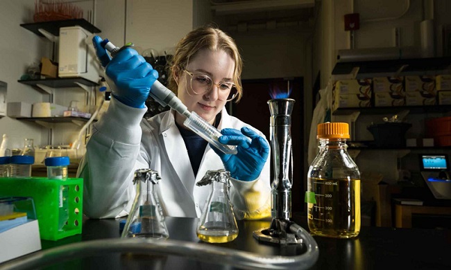 Graduate student Lynn Sidor prepares bacteria cells that will self-assemble their own glass coating using enzymes from sea sponges. Sidor is working with biologist Anne Meyer and colleagues in optics and physics to create tiny, bacteria-based microlenses for advanced imaging. Courtesy of University of Rochester/J. Adam Fenster.