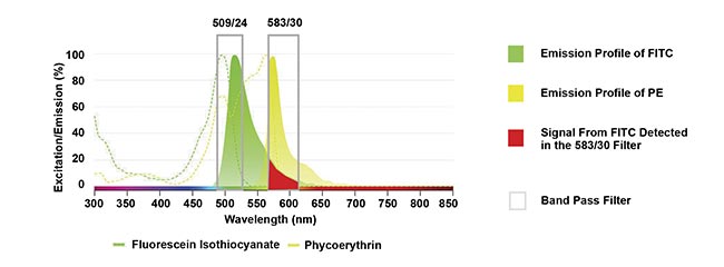 Figure 1. An example of spillover where the emission from fluorescein isothiocyanate (FITC) overlaps into the detector from the phycoerythrin (PE) filter. Courtesy of Bio-Rad Laboratories Inc.