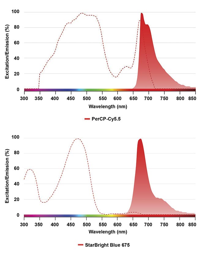 Figure 3. A comparison of spectral profiles between PerCP-Cy5.5 and StarBright Blue 675 using Bio-Rad’s fluorescence spectra viewer. The dashed line shows the fluorophore excitation profile, and the solid graph shows the emission profile. Courtesy of Bio-Rad Laboratories Inc.