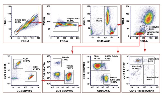 Figure 4. A human eight-color no-compensation panel on human peripheral blood to identify T cells, natural killer cells, and monocyte subsets. A488, Alexa Fluor 488; A647, Alexa Fluor 647; SBUV, StarBright UltraViolet; SBV, StarBright Violet; SBY, StarBright Yellow. Courtesy of Bio-Rad Laboratories, Inc.