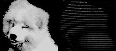 The researchers programmed various photos as target shapes on the two-dimensional spectrograph. Shown here is a team member’s dog (left) represented by thousands of laser frequency comb lines (right). Courtesy of Optica.