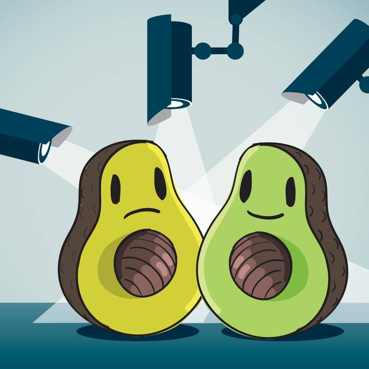 Spotlight illustration courtesy of iStock.com/erhui1979. Avocado illustration courtesy of iStock.com/Baluchis.