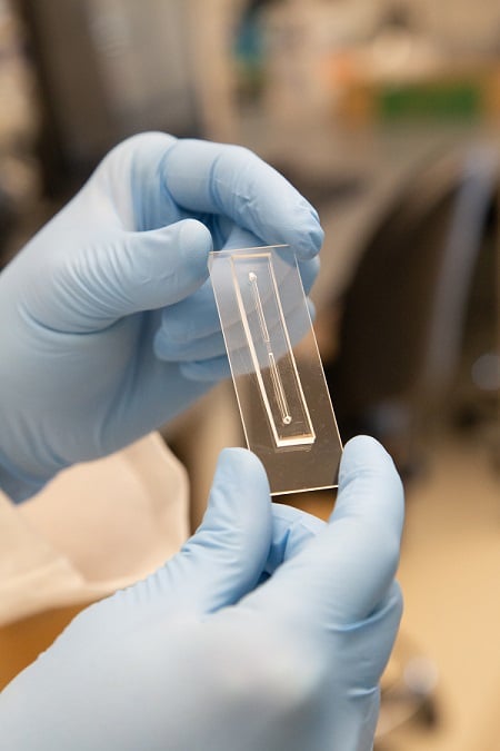 A slug flow-driven microfluidic chip developed by Rice University researchers. Courtesy of Doni Soward/Rice University.