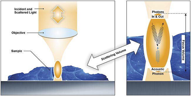 The process of Brillouin light scattering, the mechanism that makes Brillouin microscopy an effective tool for investigating viscoelasticity with optical resolution. Courtesy of CellSense Technologies.