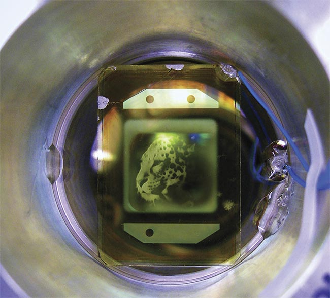 Liquid crystal spatial light modulators (SLMs) enable precise spatial beam control. Spatial patterning attenuates laser beam hot spots and eliminates the potential for damage growth on downstream optics in high-power systems. Courtesy of National Ignition Facility at Lawrence Livermore National Laboratory.