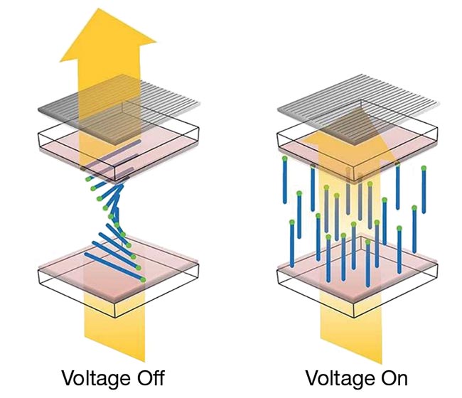 Figure 3. This twisted liquid crystal configuration is often used in simple digital displays. Applying <10 V destroys the twist, which allows light to pass through the exit polarizer. Removing the voltage reestablishes the twisted configuration in a few milliseconds. Courtesy of Meadowlark Optics.
