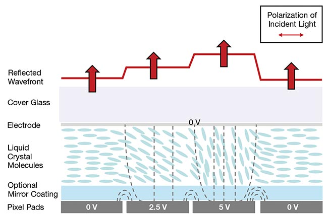 Figure 4. A liquid crystal on silicon (LCOS) spatial light modulator (SLM) consists of a layer of liquid crystal overlaying a pixelated backplane. By applying varying electric fields at each pixel, the local birefringence can be controlled. This enables pixel-by-pixel shaping of the reflected wavefront. The fastest SLMs can provide full 2p phase modulation at millisecond timescales. Courtesy of Meadowlark Optics.