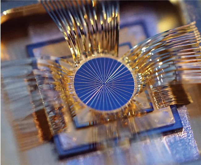 Courtesy of Noda Lab.