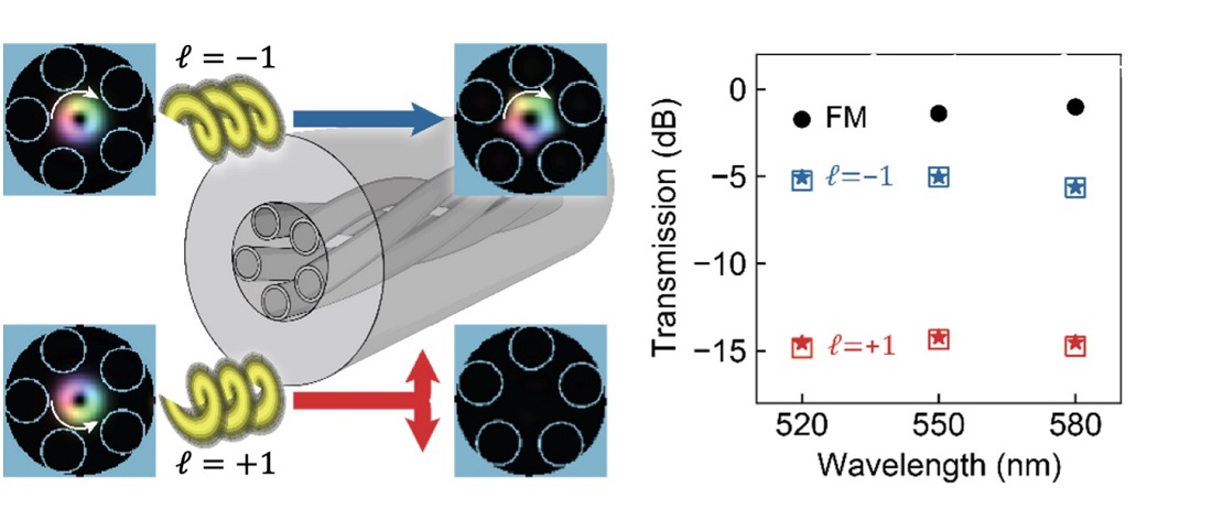Figure 1 (left): A schematic representation of twisted, hollow-core fiber exhibiting helical dichroism. When launching vortex beams of topological charge l=±1 into the waveguide, the transmission strongly depends on the sign of l. Figure 2 (right): The measured transmission for excitation of the fundamental mode (FM, l=0) and for vortex beams coupled into the twisted, hollow-core fiber (square/star markers for s=±1). Courtesy of C. Helfrich et al, “Giant Helical Dichroism in Twisted Hollow-Core Photonic Crystal Fibers,” ACS Photonics 2025 12 (2), 564-569. DOI: 10.1021/acsphotonics.4c02019.