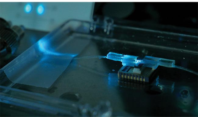 An openly accessible photonic integrated circuit (PIC) foundry process targeting quantum system requirements must enable qubits to be implemented across various frequencies, from the UV to the infrared. This packaged quantum photonic system features low-loss visible optical and electrical input/output. Courtesy of AIM Photonics.