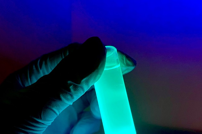 Researchers at the University of Missouri have developed fluorescent polyionic nanoclays, a technology customizable for multiple uses, including medical applications, chemical analysis, and sensor technology, among others. Courtesy of the University of Missouri/Angira Roy and Sam O’Keefe.