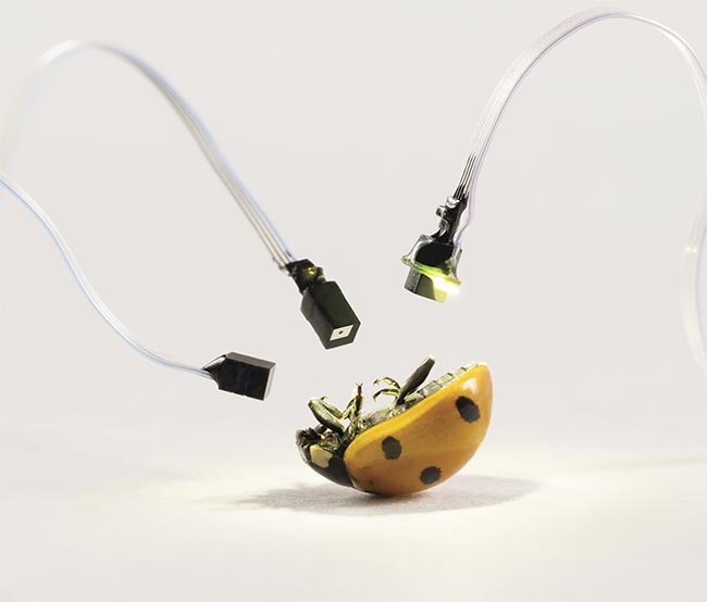 A few microcamera modules designed for endoscopy. Courtesy of OptaSensor.