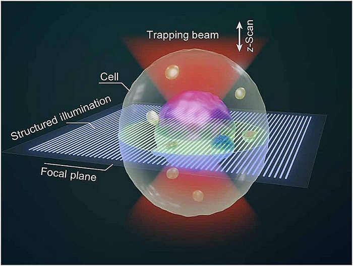Image depicting principle of optical tweeze-sectioning microscopy. Courtesy of Science Advances (2025). DOI: 10.1126/sciadv.adx3900.