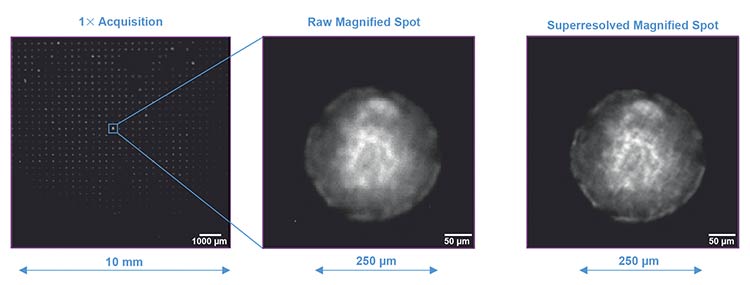 With integrated microfluidic pumps and a large field of view paired with high resolution, iFLUOR is an innovative platform for life sciences studies. Courtesy of D-Tails srl SB.