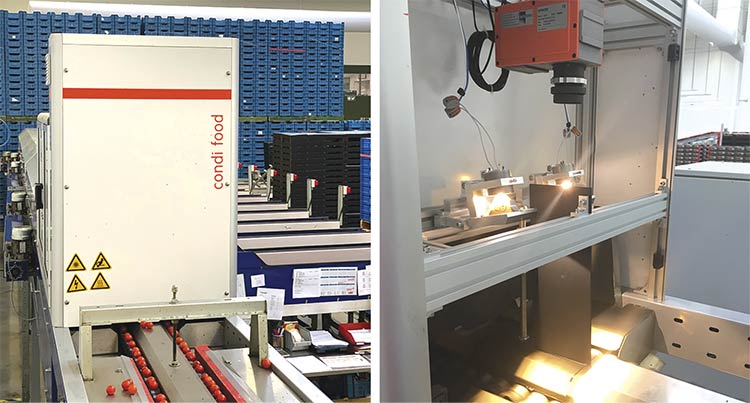 Condi Food uses hyperspectral Brix measurement to grade cherry tomatoes for taste in as little as 30 ms per tomato. Courtesy of Specim.