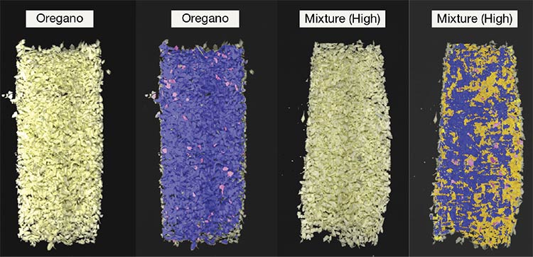 Unscrupulous suppliers sometimes mix oregano with olive, myrtle, sumac, and other ingredients. Hyperspectral inspection of spices can detect such adulterations. Courtesy of Headwall Group.