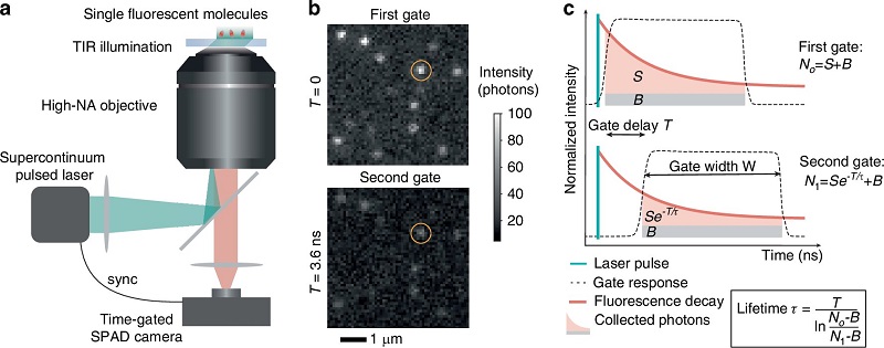 Single-molecule fluorescence lifetime imaging microscopy (smFLIM) setup and acquisition scheme. Courtesy of Light: Science & Applications (2025). DOI: 10.1038/s41377-025-01901-2.