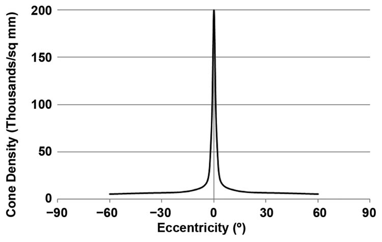 Figure 1. The fovea is a small ‘back-thinned’ region of the retina at the center of the eye’s optical axis (top). A replot of published human data showing the ~50× cone density difference between the fovea and most of the retina (bottom). Courtesy of ORCA Med.