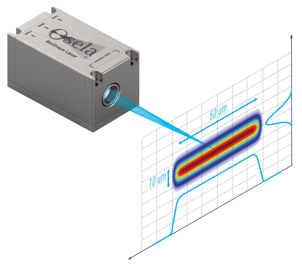 BSL - Bioshape Laser