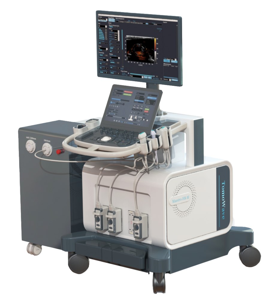 In Vivo Optoacoustic / Ultrasound Imaging System