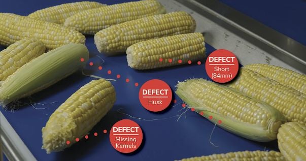 Visual AI for Inspection and Robots