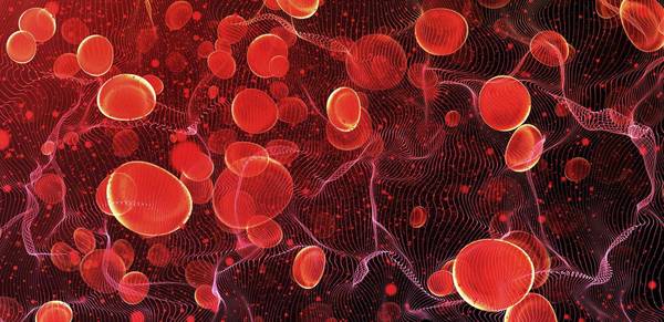 Vision Research - High-Speed Imaging Enables Rapid Sepsis Detection