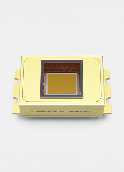 InGaAs Area Image Sensors. Courtesy of Hamamatsu.
