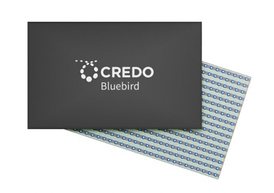 Digital Signal Processor. Courtesy of Credo.